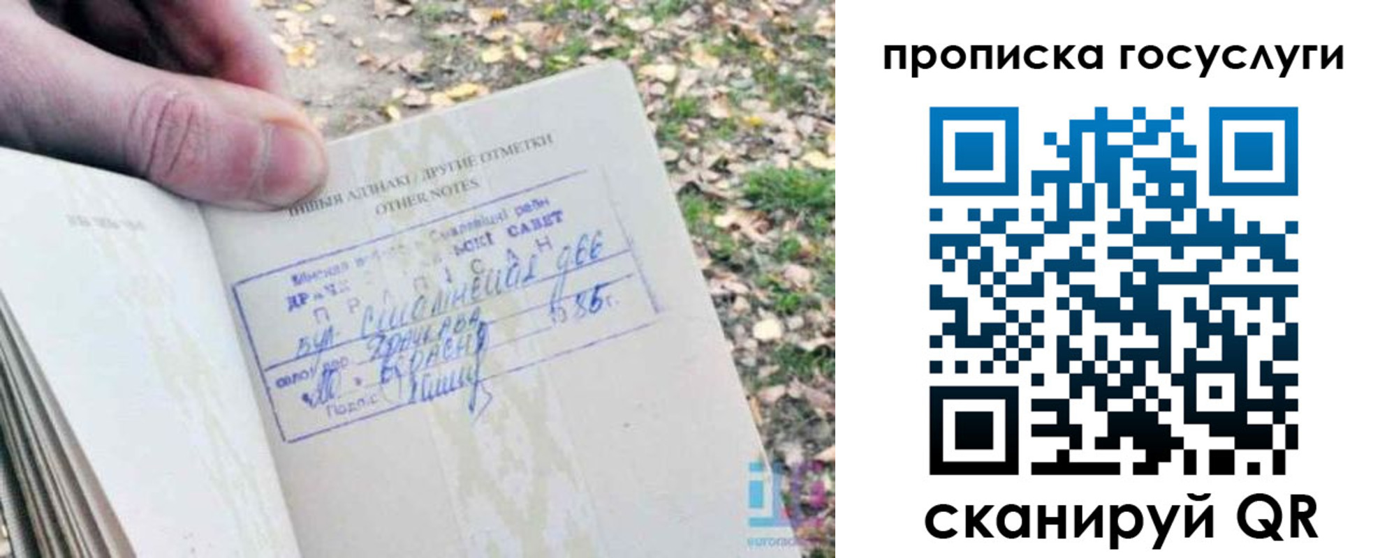 временная регистрация собственник в Реутове